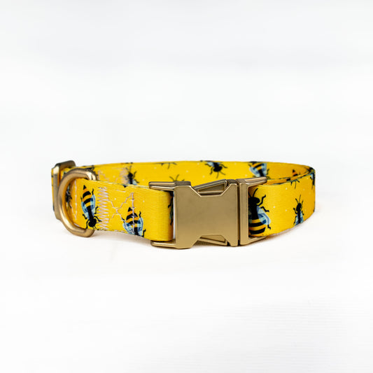 Wooferoo Bee Classic Dog Collar